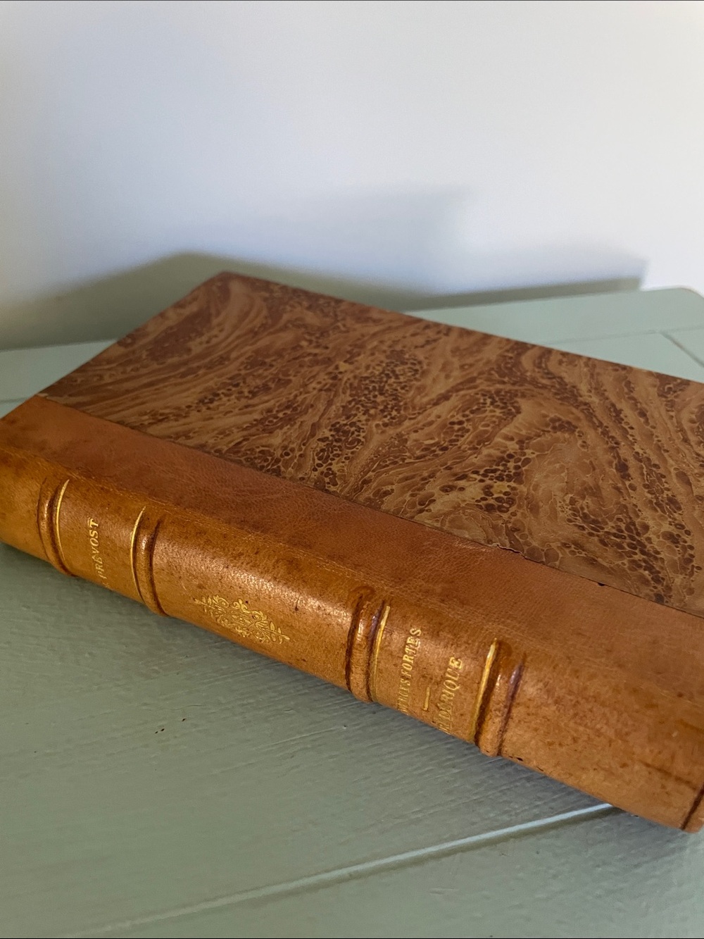 Vintage Leather-Bound Book Les Vierges Fortes Frédérique by Marcel Prevost